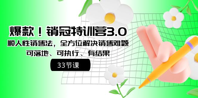 爆款！销冠特训营3.0之顺人性销售法，全方位解决销售难题、可落地-沐羽项目网