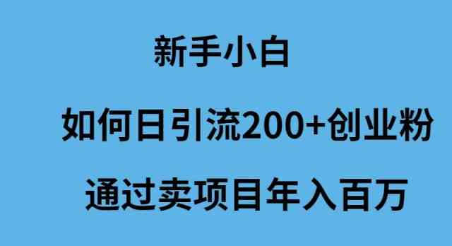 （9668期）新手小白如何日引流200+创业粉通过卖项目年入百万-沐羽项目网