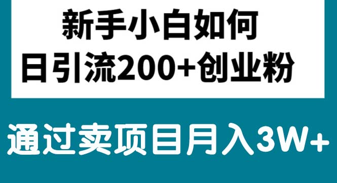 （10843期）新手小白日引流200+创业粉,通过卖项目月入3W+-沐羽项目网