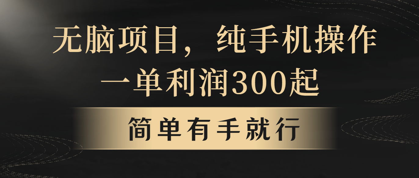 （10699期）无脑项目，一单几百块，轻松月入5w+，看完就能直接操作-沐羽项目网