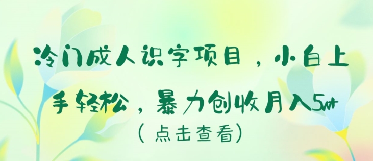 冷门成人识字项目，小白上手轻松，暴力创收月入5w+-沐羽项目网