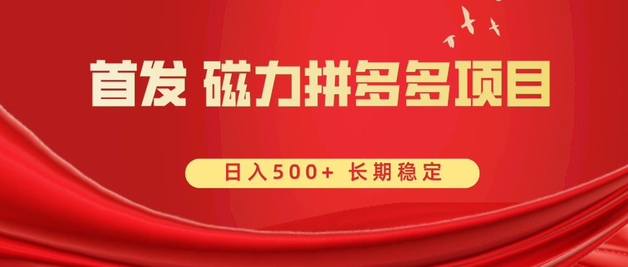 首发 磁力拼多多自撸 日入500+-沐羽项目网