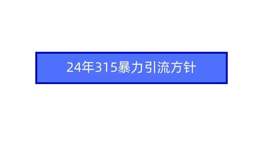 （9398期）2024年315暴力引流方针-沐羽项目网