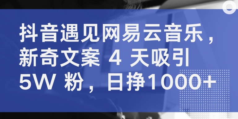 抖音遇见网易云音乐，新奇文案 4 天吸引 5W 粉，日挣1000+-沐羽项目网
