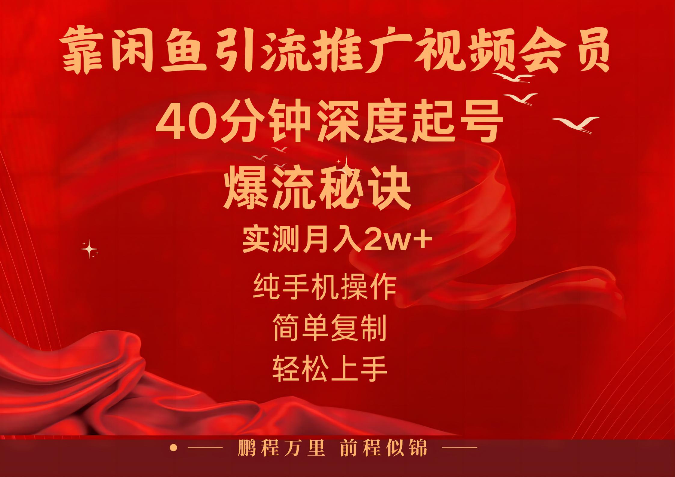 闲鱼暴力引流推广视频会员，能做到日入2W+，操作简单-沐羽项目网