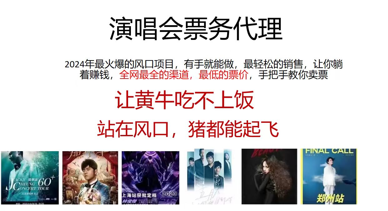 演唱会票务代理，2024年最火爆风口项目，全网最低的票价，小白一分钟上手-沐羽项目网