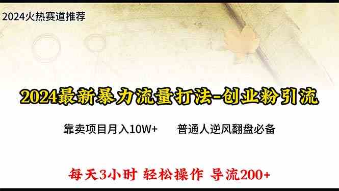 （10151期）2024年最新暴力流量打法，每日导入300+，靠卖项目月入10W+-沐羽项目网