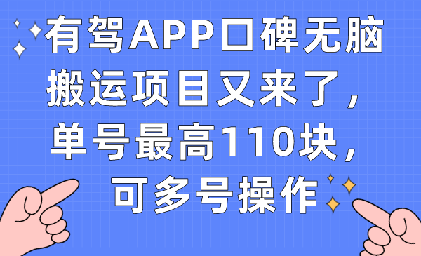 有驾APP口碑无脑搬运项目又来了，单号最高110块，可多号操作-沐羽项目网
