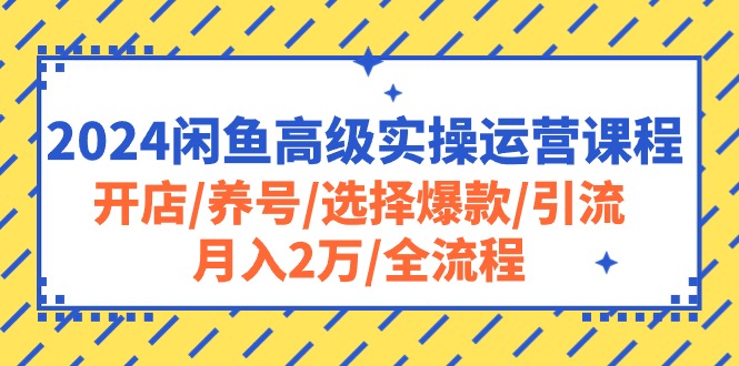 （10711期）2024闲鱼高级实操运营课程：开店/养号/选择爆款/引流/月入2万/全流程-沐羽项目网