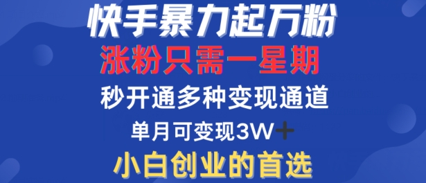 快手暴力起万粉，涨粉只需一星期，多种变现模式，直接秒开万合，单月变现过W【揭秘】-沐羽项目网