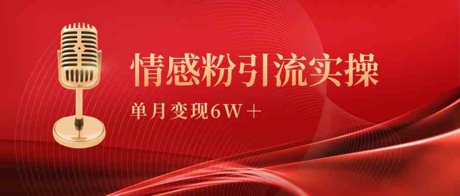 （9473期）单月变现6w+，情感粉引流变现实操课-沐羽项目网
