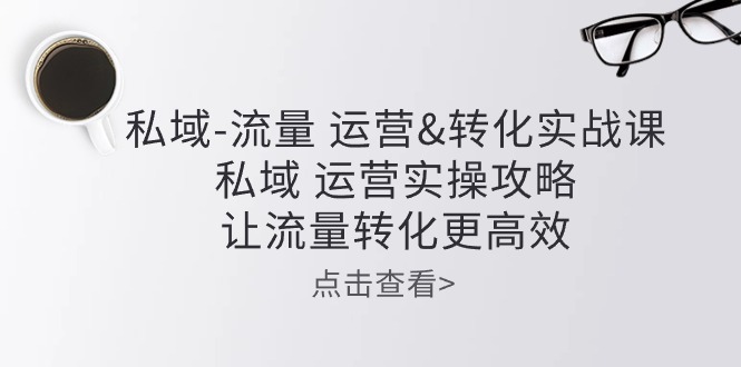 （10739期）私域-流量 运营&转化实操课：私域 运营实操攻略 让流量转化更高效-沐羽项目网