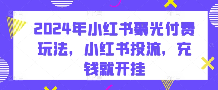 2024年小红书聚光付费玩法，小红书投流，充钱就开挂-沐羽项目网