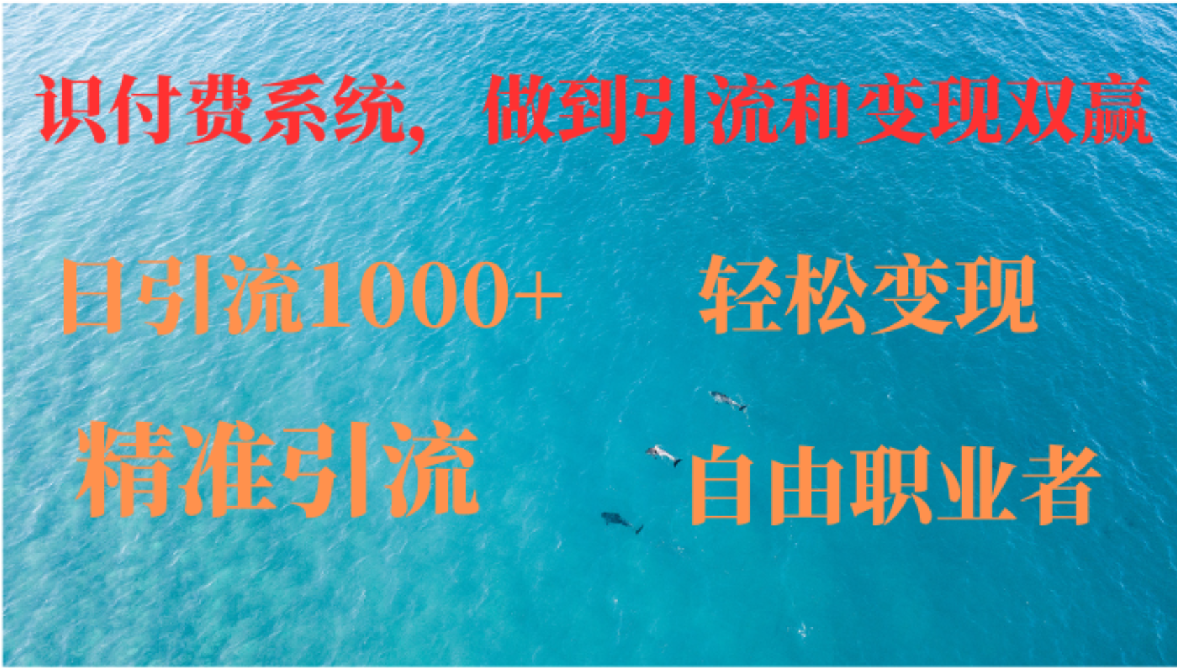 如何搭建自己的知识付费系统，做到引流和变现双赢-沐羽项目网
