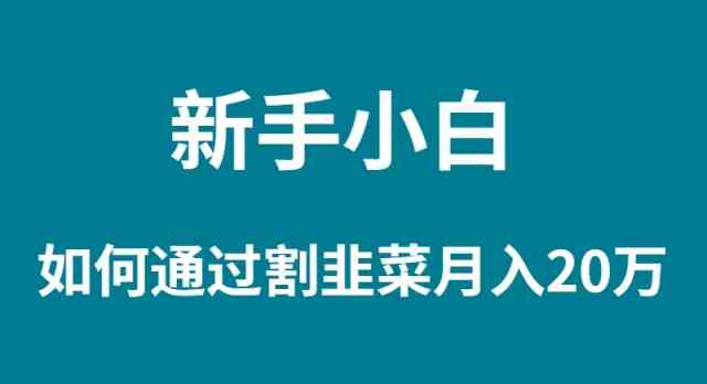 （9308期）新手小白如何通过割韭菜月入 20W-沐羽项目网