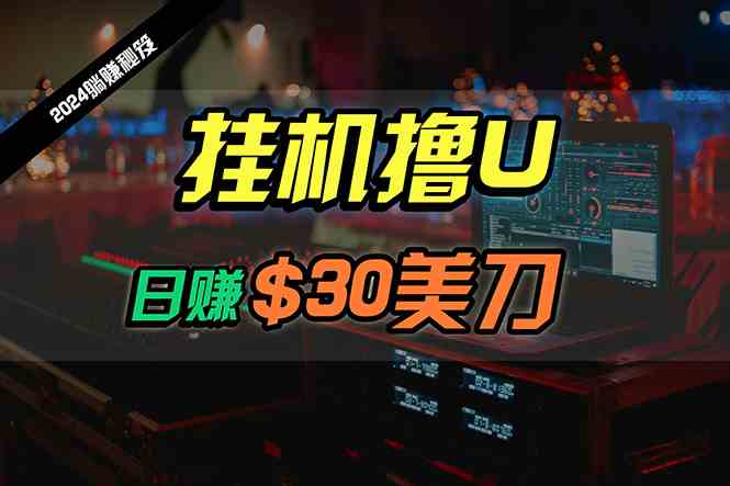 （10013期）日赚30美刀，2024最新海外挂机撸U内部项目，全程无人值守，可批量放大-沐羽项目网
