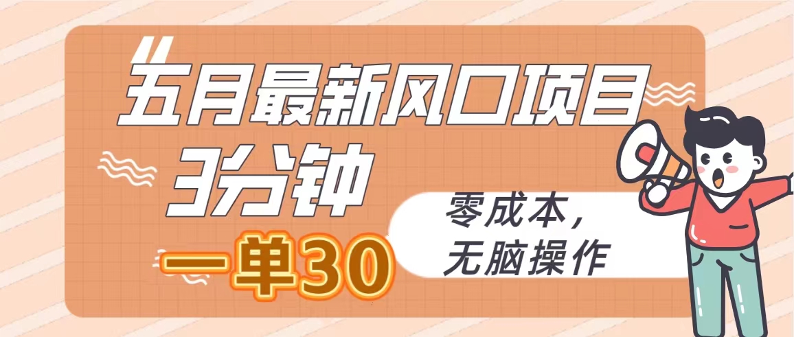 （10256期）五月最新风口项目，3分钟一单30，零成本，无脑操作-沐羽项目网