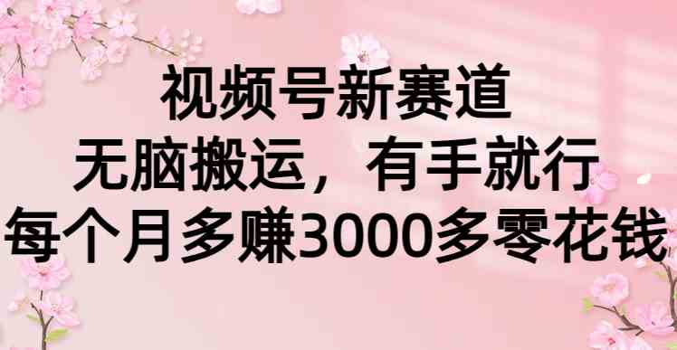 （9277期）视频号新赛道，无脑搬运，有手就行，每个月多赚3000多零花钱-沐羽项目网