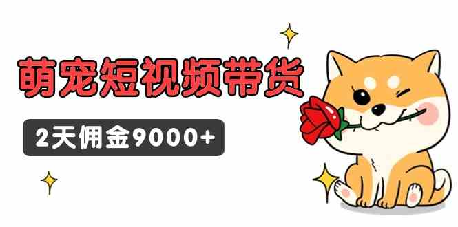 （9273期）东哲日记·萌宠短视频带货，2天佣金9000+-沐羽项目网