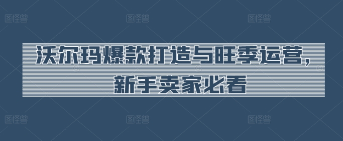 沃尔玛爆款打造与旺季运营，新手卖家必看-沐羽项目网