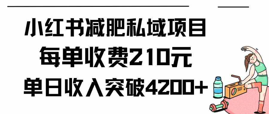 （9466期）小红书减肥私域项目每单收费210元单日成交20单，最高日入4200+-沐羽项目网