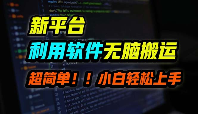 B站平台用软件无脑搬运，月赚10000+，小白也能轻松上手-沐羽项目网