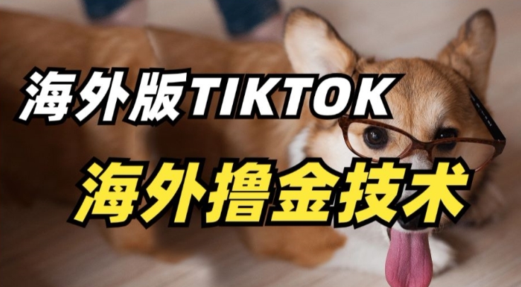 抖音海外版tiktok撸金技术，这个风口行业，赚钱真的不难-沐羽项目网