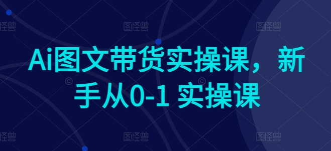 Ai图文带货实操课，新手从0-1 实操课-沐羽项目网