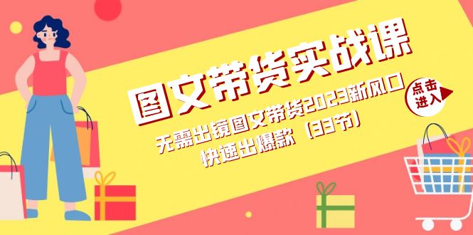图文带货实战课：无需出镜图文带货2023新风口，快速出爆款（33节）-沐羽项目网