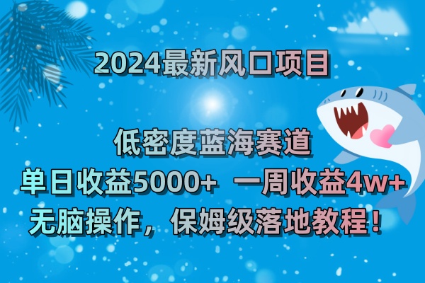 2024最新风口项目 低密度蓝海赛道，日收益5000+周收益4w+ 无脑操作-沐羽项目网