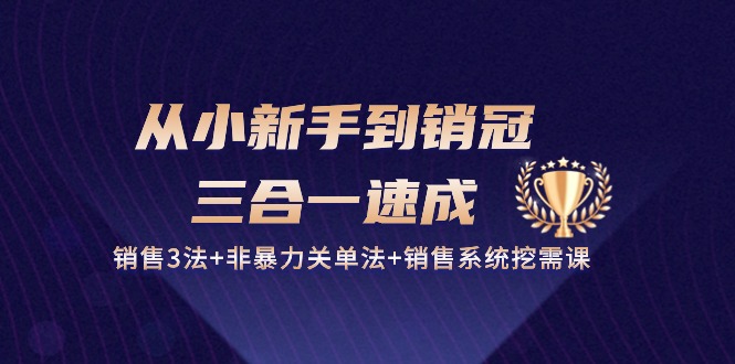 从小新手到销冠三合一速成：销售3法+非暴力关单法+销售系统挖需课 (27节)-沐羽项目网