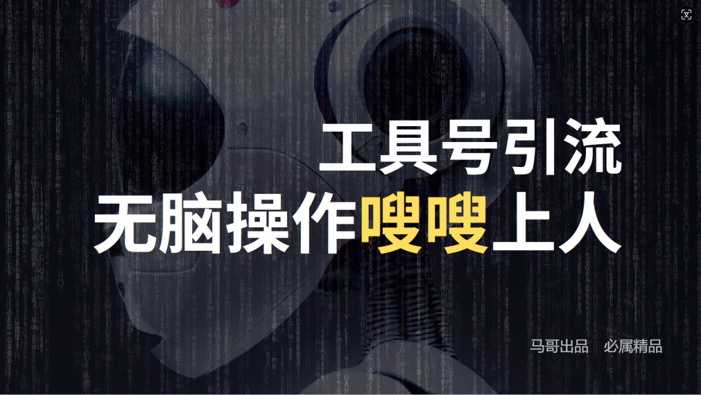 24年抖音最新工具号日引流300+创业粉，日入5000+-沐羽项目网
