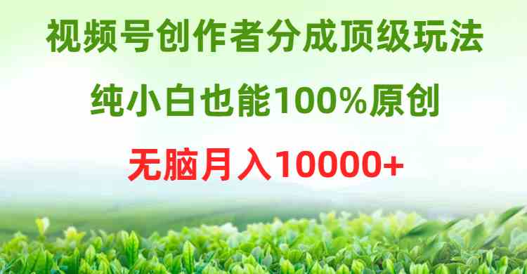 （9608期）视频号创作者分成顶级玩法，纯小白也能100%原创，无脑月入10000+-沐羽项目网