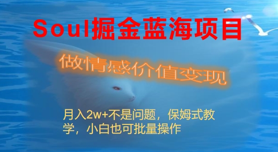 Soul掘金蓝海项目细分赛道，做情感价值变现，月入2w+不是问题-沐羽项目网