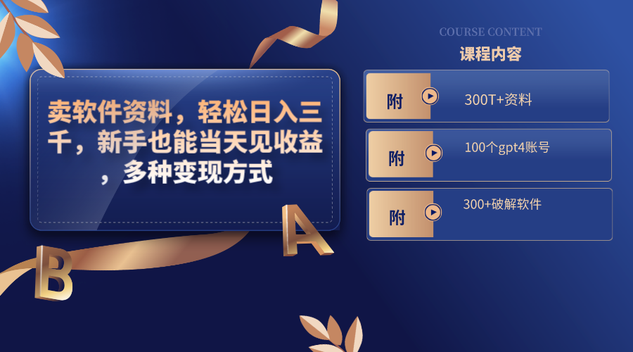 卖软件资料，轻松日入三千，新手也能当天见收益，多种变现方式-沐羽项目网