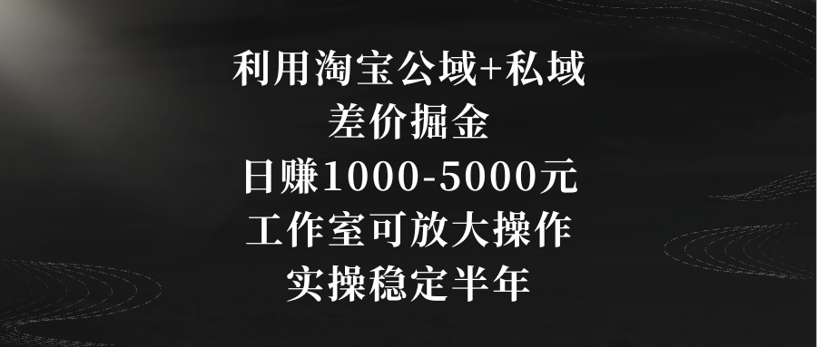 利用淘宝公域+私域差价掘金，日赚1000-5000元，工作室可放大操作，实操…-沐羽项目网