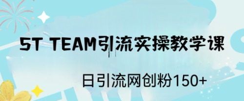 ST TEAM引流实操课，日引流网创粉100+-沐羽项目网