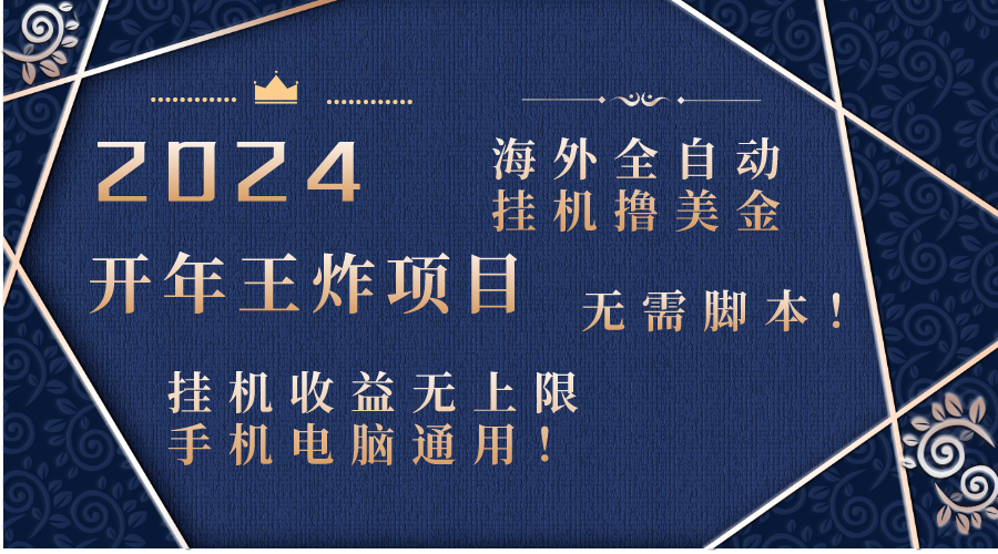 2024海外全自动挂机撸美金项目！手机电脑均可，无需脚本，收益无上限！-沐羽项目网