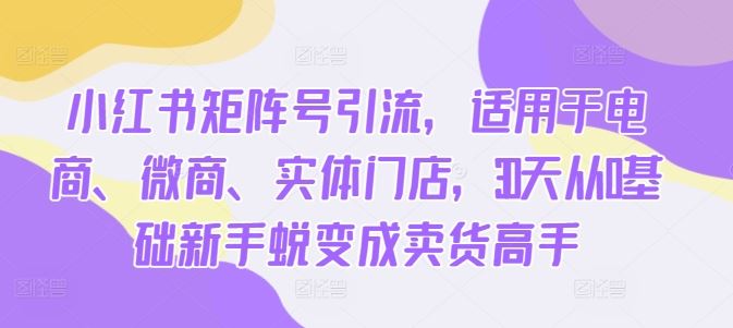 小红书矩阵号引流，适用于电商、微商、实体门店，30天从0基础新手蜕变成卖货高手-沐羽项目网