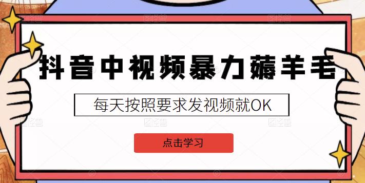 2022抖音中视频暴力薅羊毛白嫖项目：新号每天20块，老号几天几百块，可多号￼-沐羽项目网