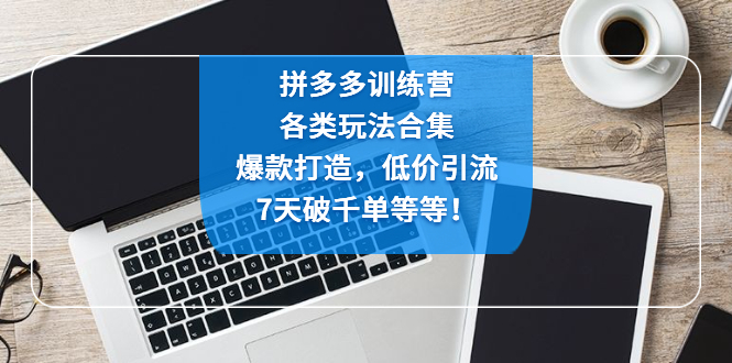 拼多多训练营：各玩法合集，爆款打造，低价引流，7天破千单等等！-沐羽项目网