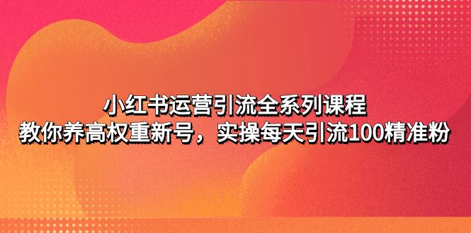 小红书运营引流全系列课程：教你养高权重新号，实操每天引流100精准粉-沐羽项目网
