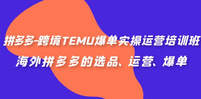拼多多-跨境TEMU爆单实操运营培训班，海外拼多多的选品、运营、爆单-沐羽项目网