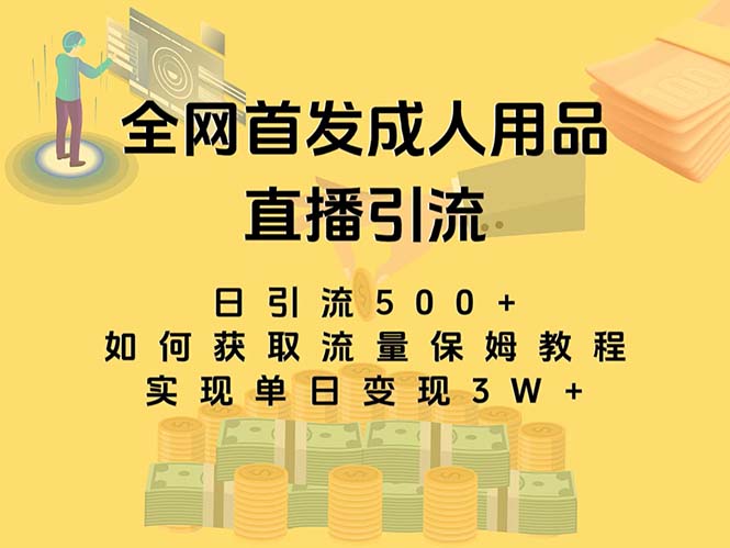最新全网独创首发，成人用品直播引流获客暴力玩法，单日变现3w保姆级教程-沐羽项目网