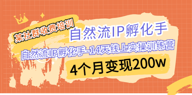 某社群收费培训：自然流IP 孵化手-14天线上实操训练营 4个月变现200w-沐羽项目网