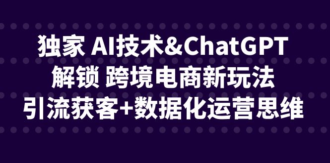 独家 AI技术&ChatGPT解锁 跨境电商新玩法，引流获客+数据化运营思维-沐羽项目网