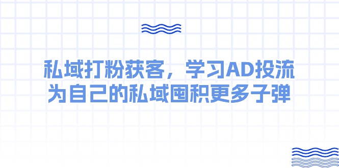（10728期）某收费课：私域打粉获客，学习AD投流，为自己的私域囤积更多子弹-沐羽项目网