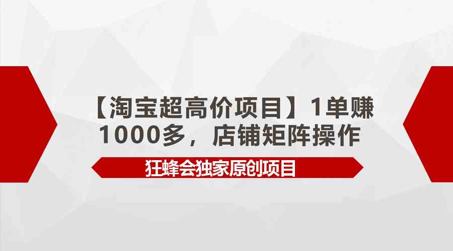 （9849期）【淘宝超高价项目】1单赚1000多，店铺矩阵操作-沐羽项目网