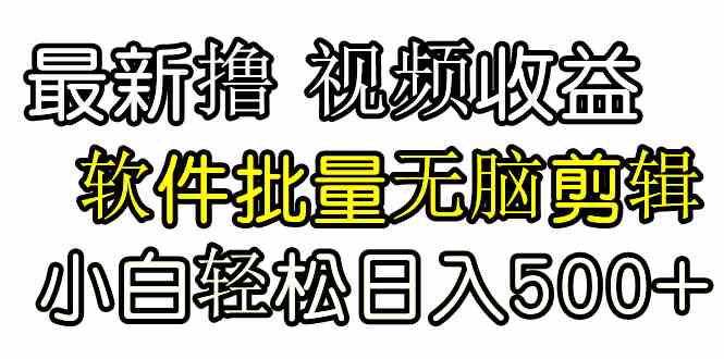 （9569期）发视频撸收益，软件无脑批量剪辑，第一天发第二天就有钱-沐羽项目网