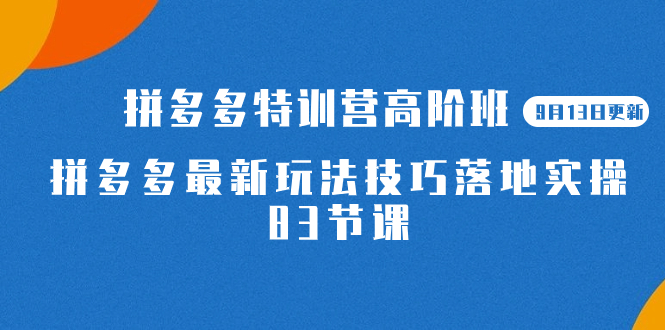 2023拼多多·特训营高阶班【9月19日更新】拼多多最新玩法技巧落地实操-83节-沐羽项目网